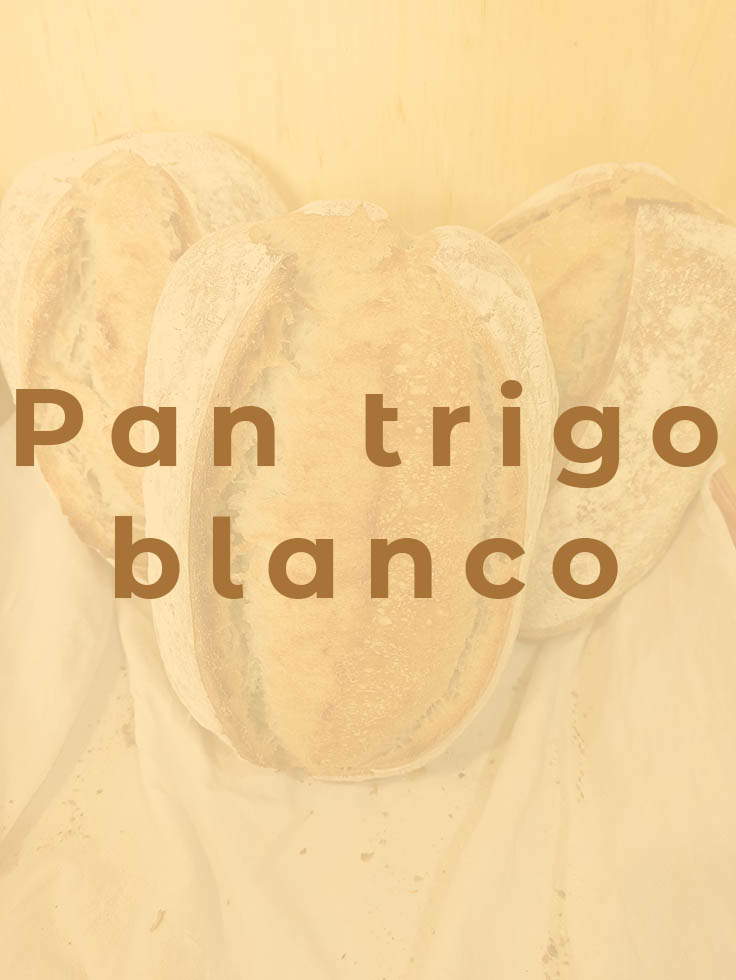 el_horno_de_angeles_pan_artesanal_pantrigoblancoa